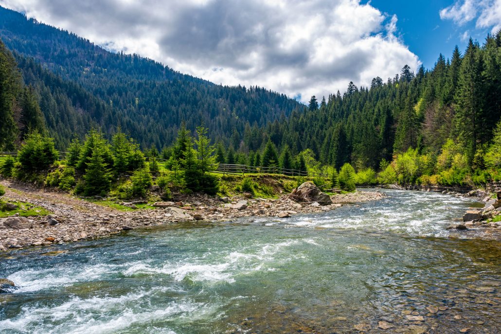 stream