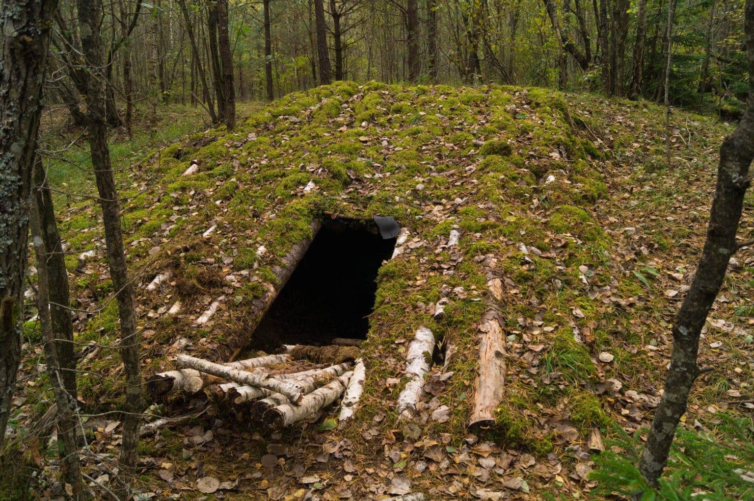 Luxury Doomsday Bunker Glass & Mirror Products