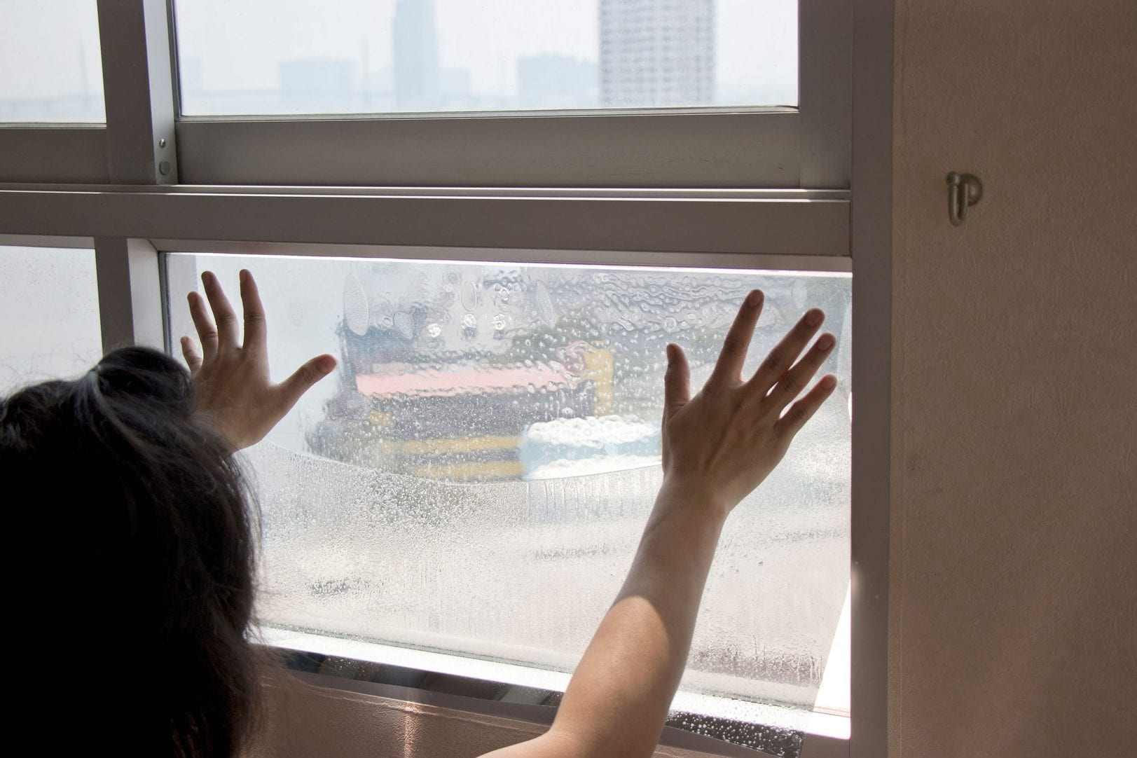 Bathroom Window Film