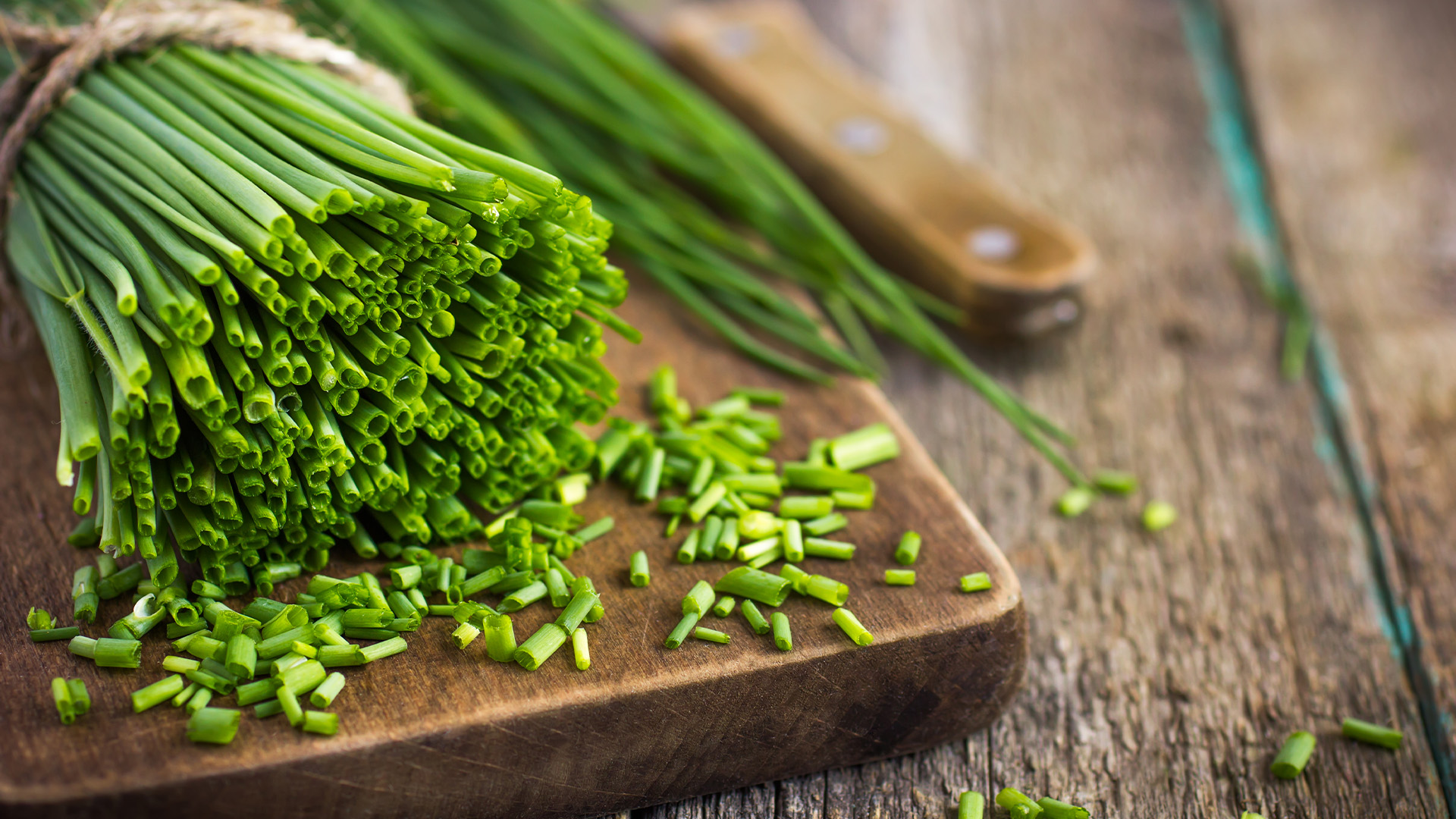Chives